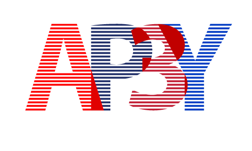 AP3Y