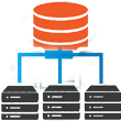 Storage Area Network (SAN)