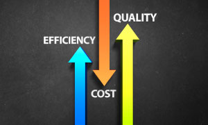 Cost Efficiency