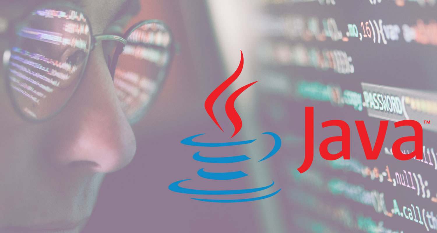  Java and .NET Application