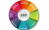 Enterprise Resource Planning